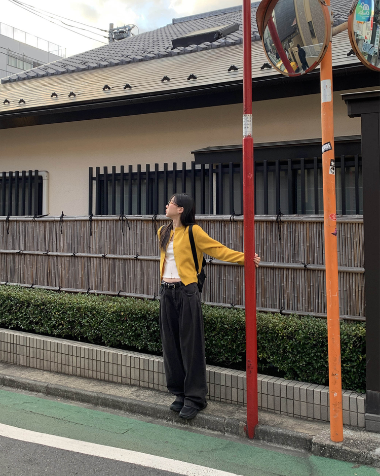 美色排鈕修腰針織衫