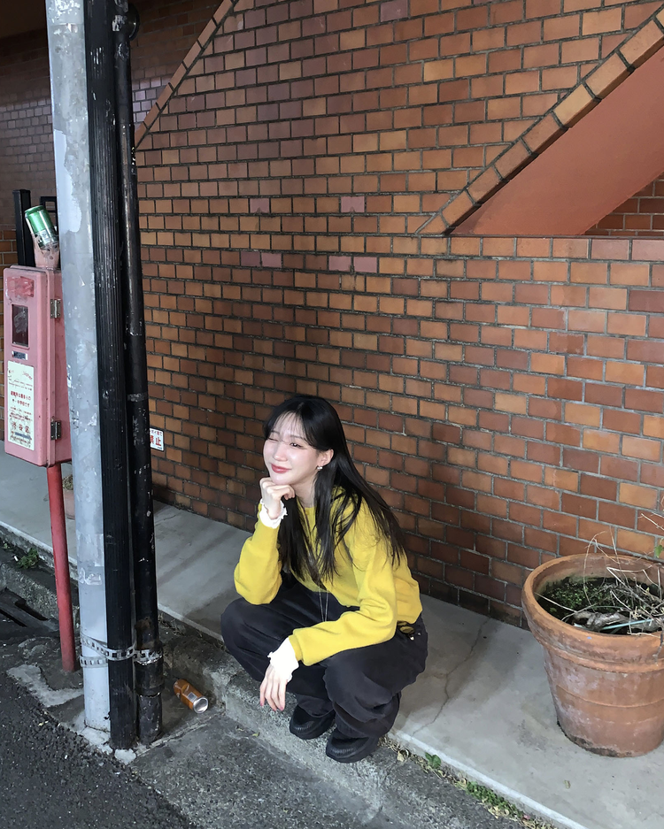 美色排鈕修腰針織衫