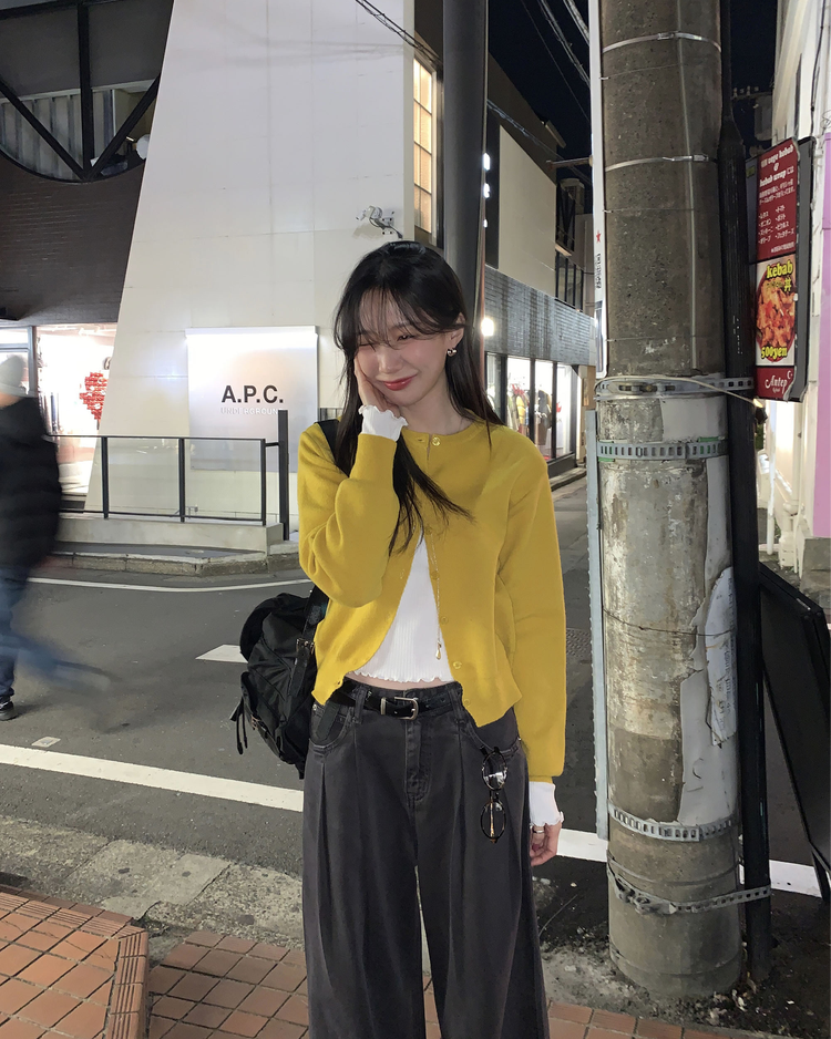 美色排鈕修腰針織衫